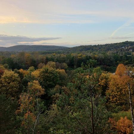 Greenthumb Praska Krakow Dış mekan fotoğraf