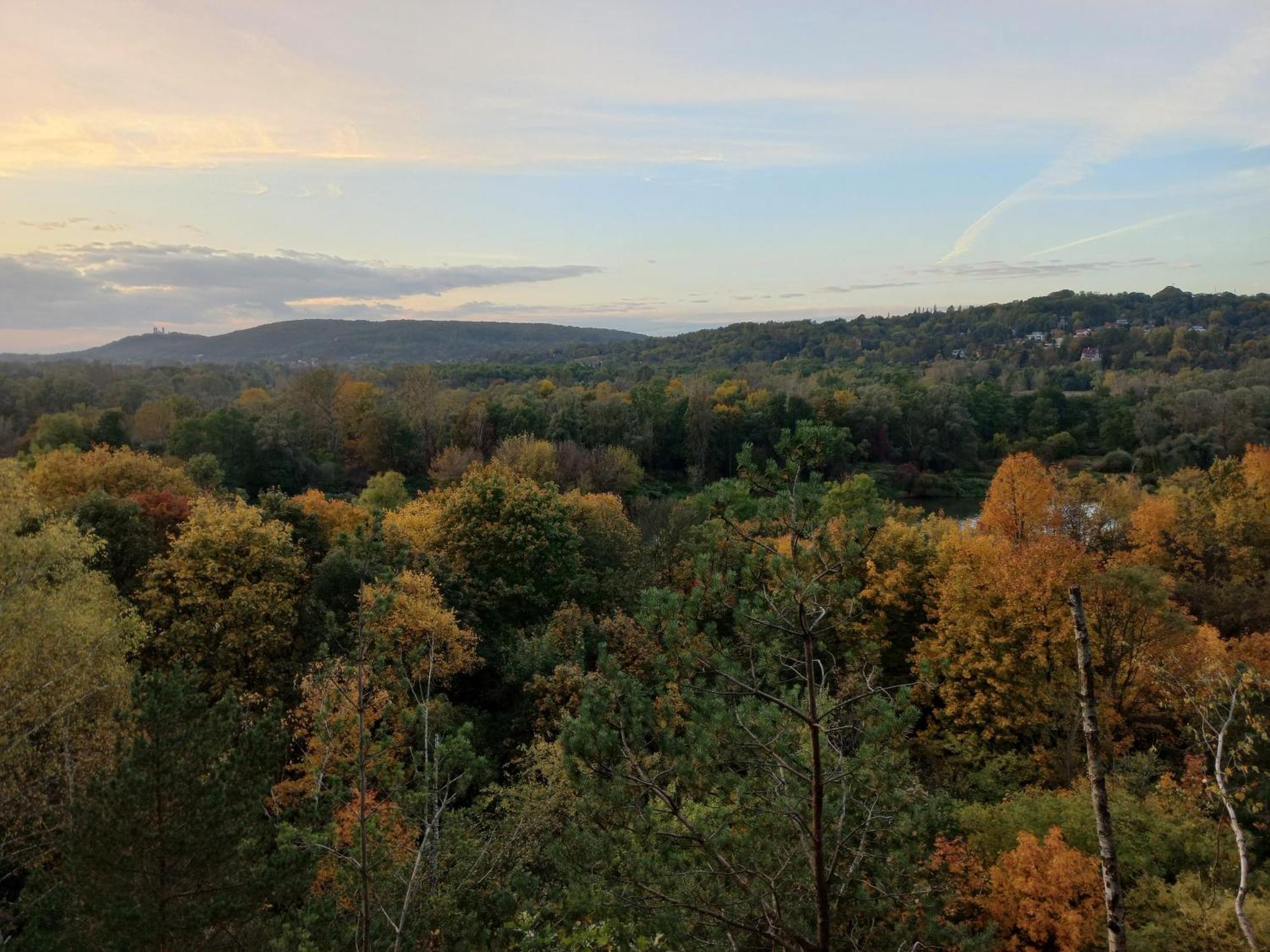 Greenthumb Praska Krakow Dış mekan fotoğraf