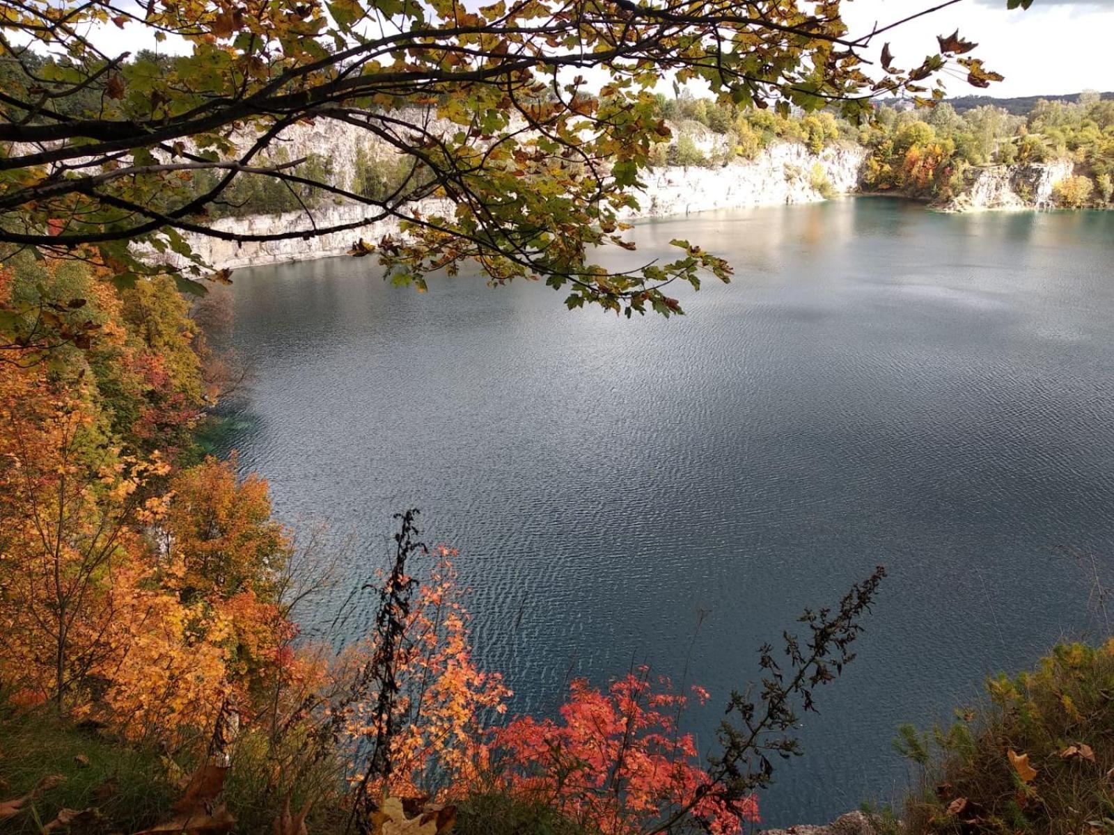 Greenthumb Praska Krakow Dış mekan fotoğraf