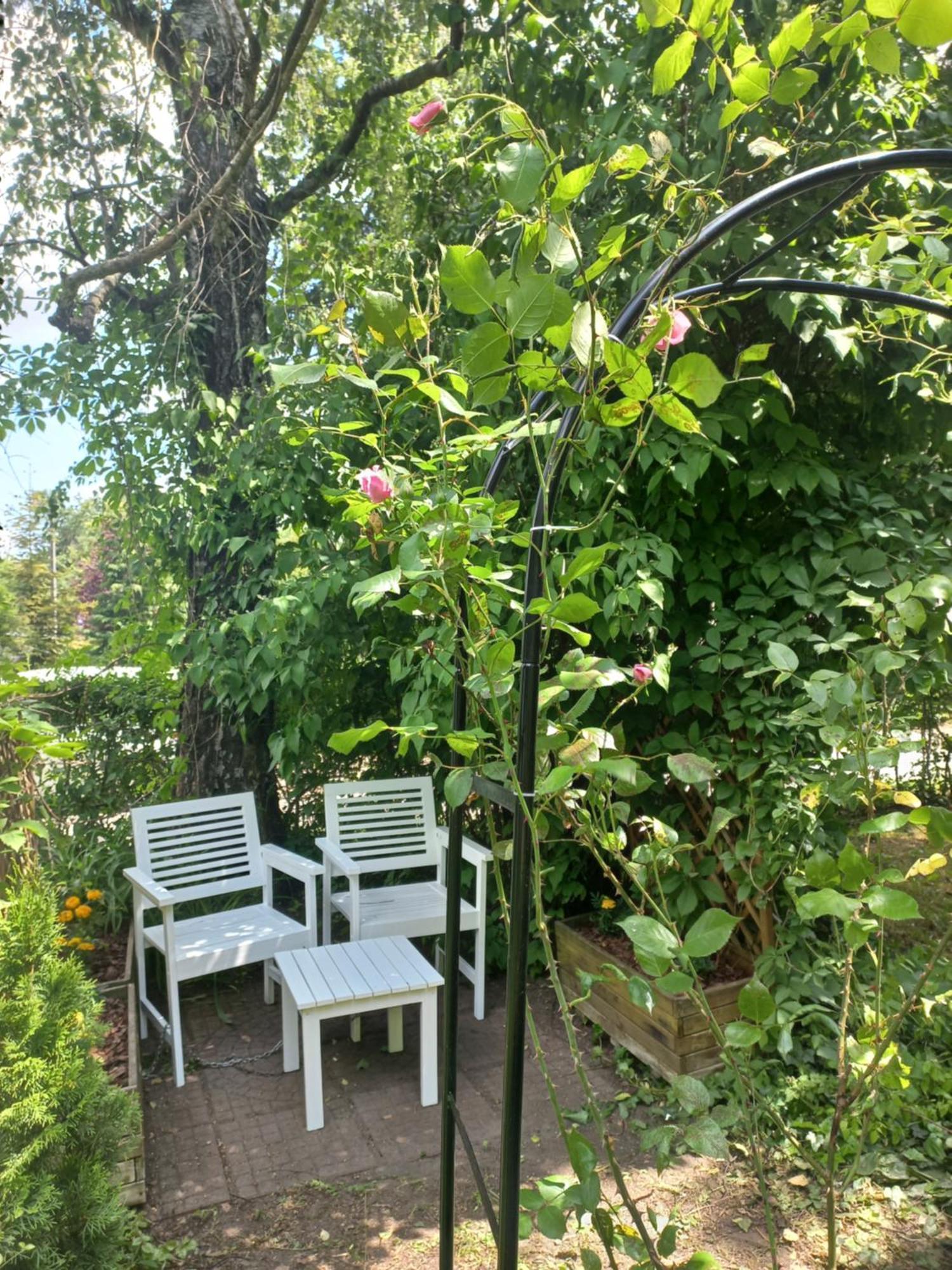 Greenthumb Praska Krakow Dış mekan fotoğraf