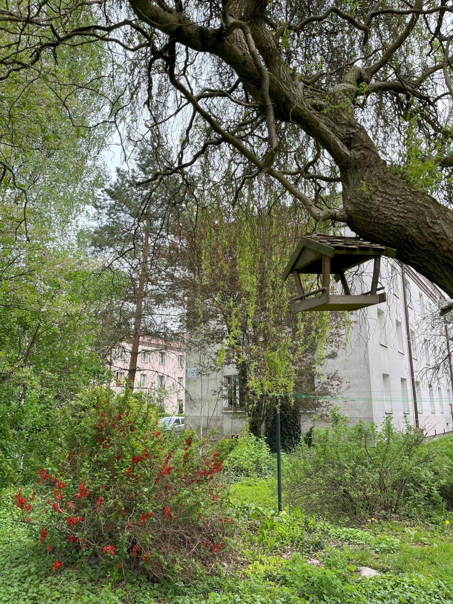Greenthumb Praska Krakow Dış mekan fotoğraf