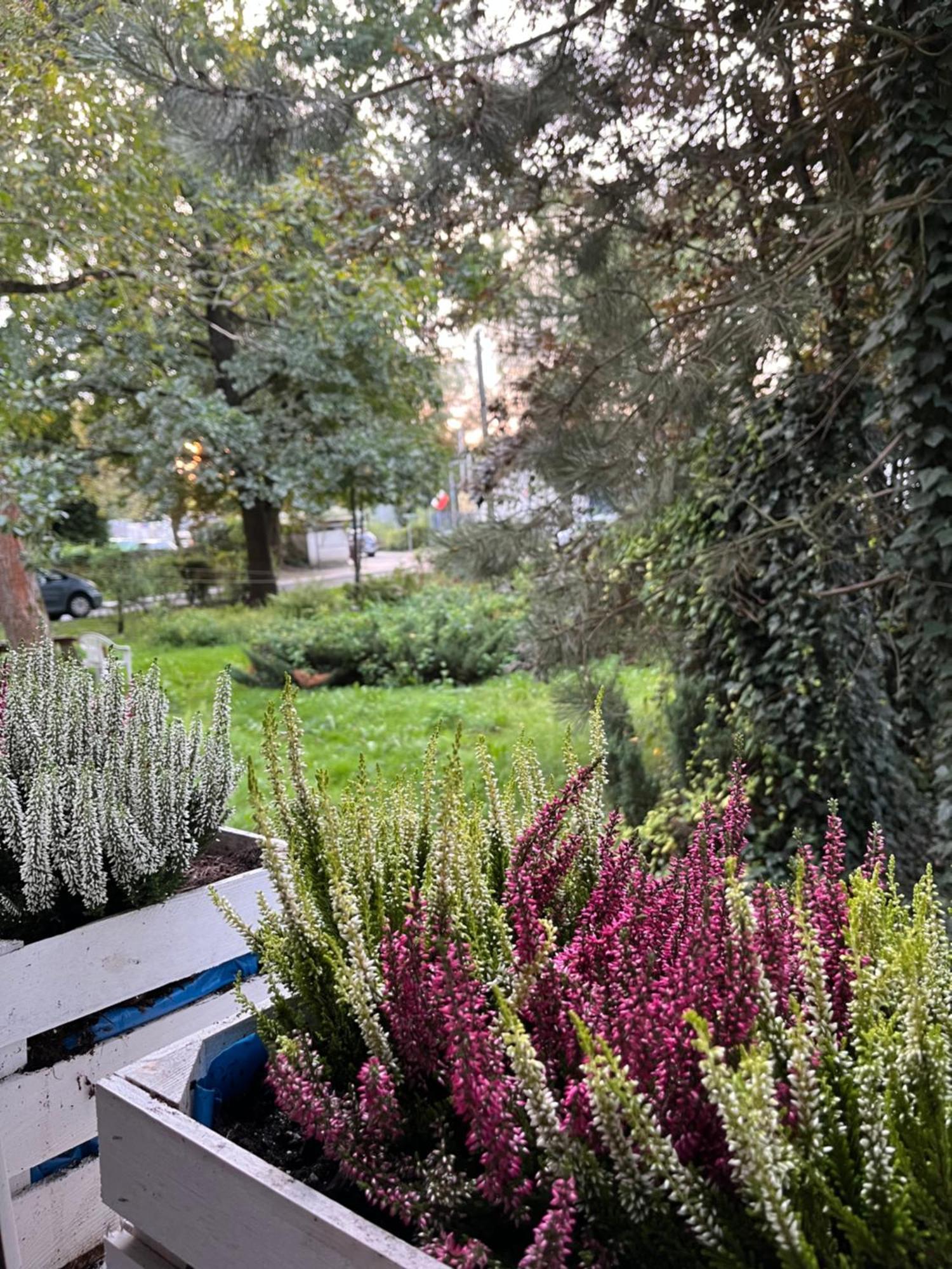 Greenthumb Praska Krakow Dış mekan fotoğraf
