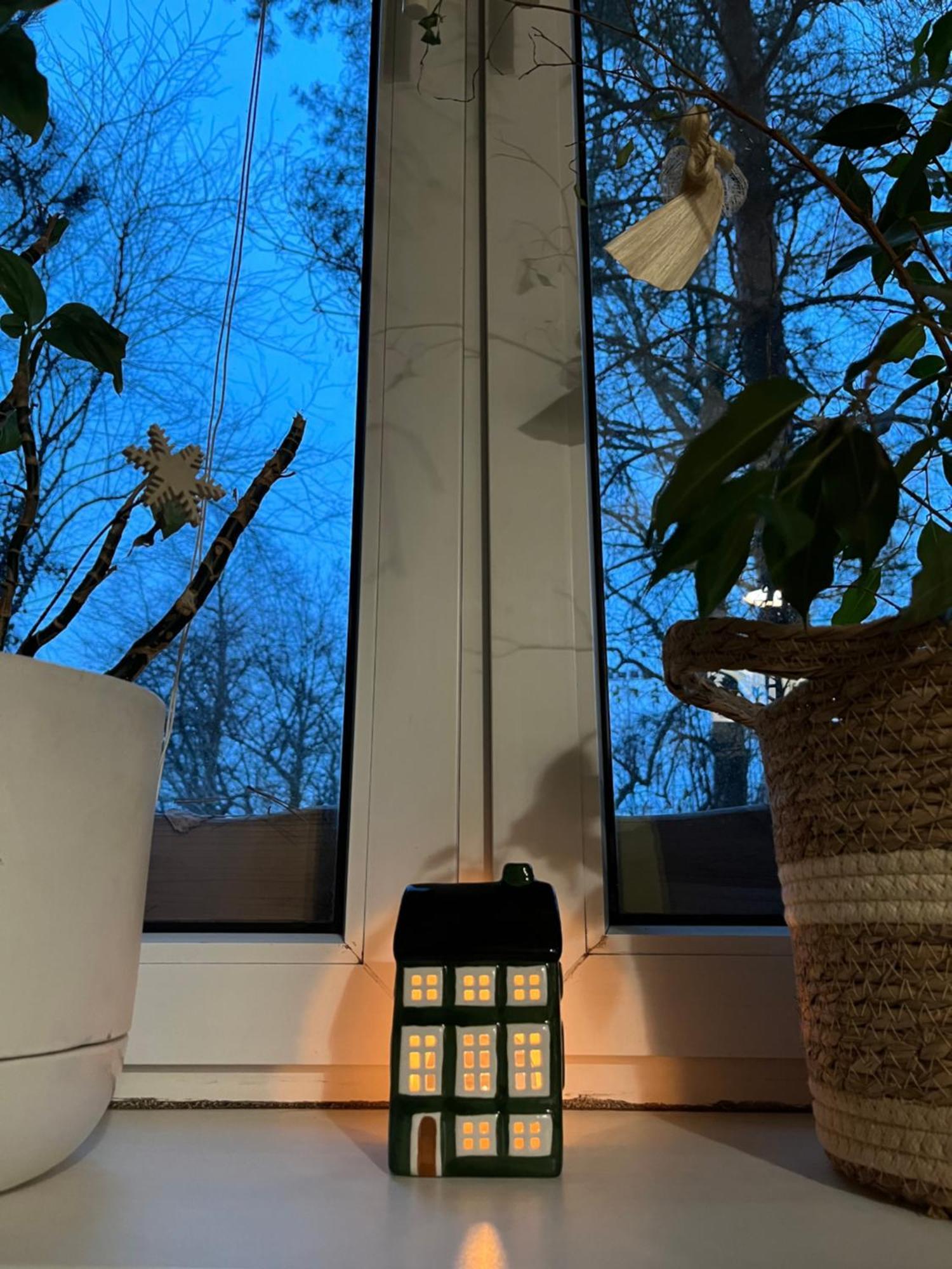 Greenthumb Praska Krakow Dış mekan fotoğraf